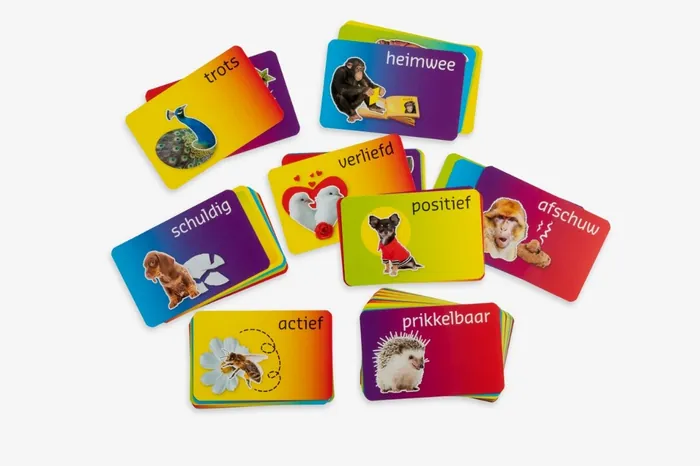 Waaier van de 48 emotiekaarten zoals trots, heimwee en positief